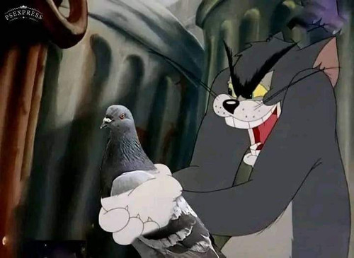 FB IMG 1688326262976.jpg