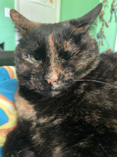 89F54B7C 1FC8 4810 8159 088D8DA2752E.jpg