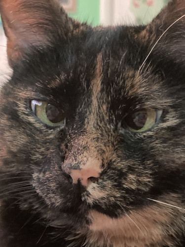 F563CDFA 95D2 4878 98DD 935C503A0C3E.jpg