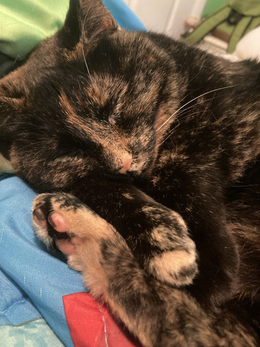 0863807D BBA2 4A39 8F1B B1FC34A3A2CA.jpg