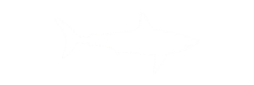 image removebg preview.png