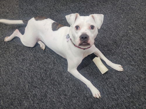 8FE46392 0866 412A 9439 6A2B1C303D43.jpg