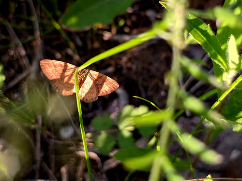 PXL 20230702 11.PORTRAIT.jpg