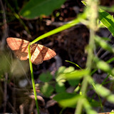 PXL 20230702 11.PORTRAIT