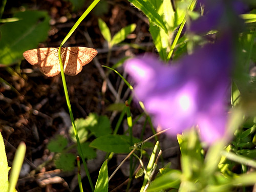 PXL 20230702 2.PORTRAIT.jpg