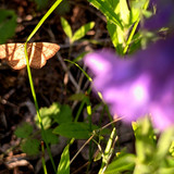 PXL 20230702 2.PORTRAIT