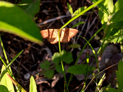 PXL 20230702 1.PORTRAIT.jpg