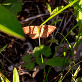 PXL 20230702 1.PORTRAIT