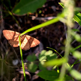 PXL 20230702 3.PORTRAIT