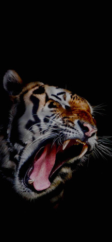 A335DF27 91E7 435C A9CE 37A0DE4931DF.jpg