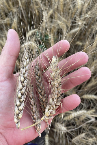 7D219CDB B26D 4984 ADB1 05FC7ACC3FF3.jpg