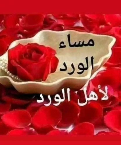 ٢٠٢٢٠٦١٣ ١٠٢٠٤٩.jpg