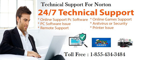 support for norton.jpg