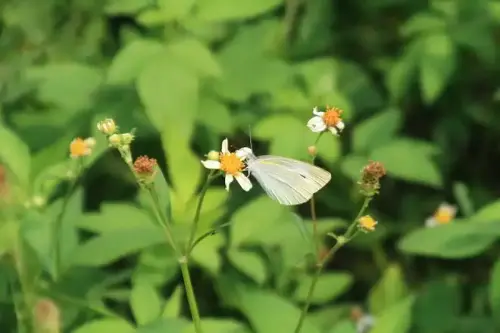 20081025 129 19.webp