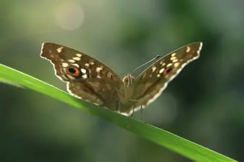 20081025 129 07.webp