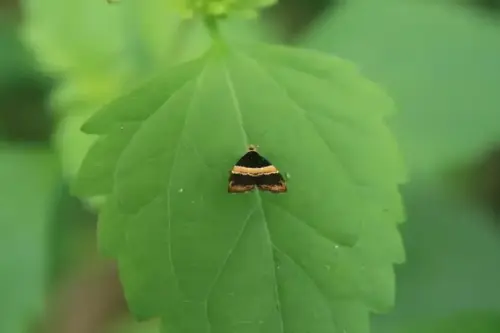 20081025 129 16.webp