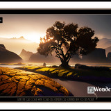 wonder 1685391474023 copy 2