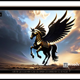 wonder 1685391729831 copy 2