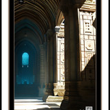 wonder 1685751747589 copy 2