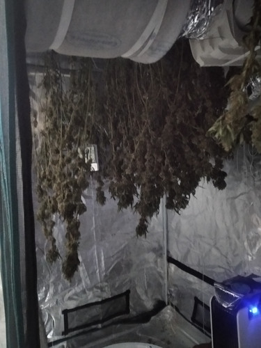 IMG 20230701 191039.jpg