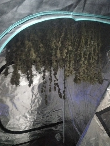 IMG 20230701 191056.jpg