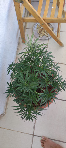 IMG 20230701 170713.jpg