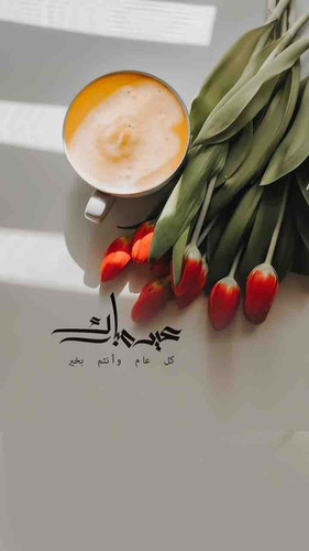 0EFAFBBC 6656 4CBF A9B2 B9DE01BD6919.jpg