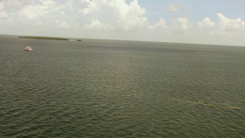 95a99579b848.png