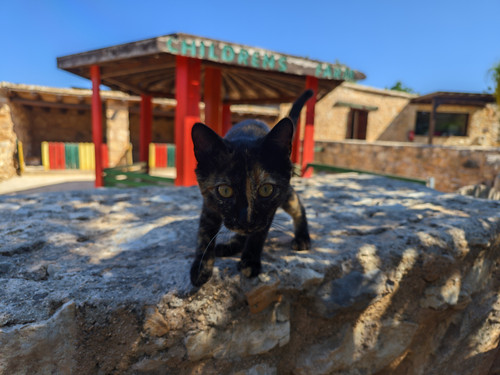 AGC 20230625 094828027.jpg