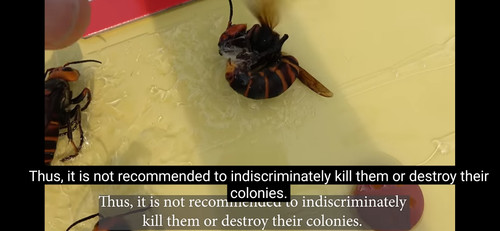 Screenshot 20230705 135928 YouTube.jpg