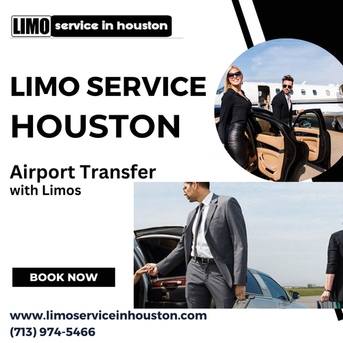 Limo Service in.png