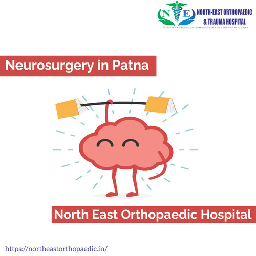 Neurosurgeon in Patna: North East Orthopaedic Hospital.jpg
