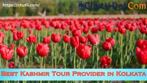 Best Kashmir Tour Package Provider from Kolkata: Chutii Dot Com.png