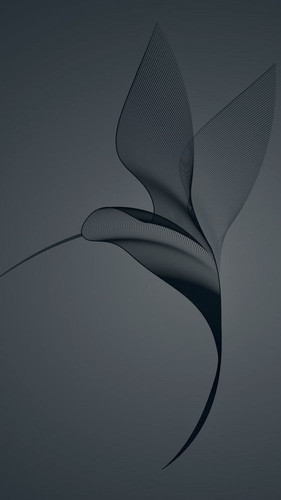 687305a962bb85ee783fac55f51fe88d.jpg