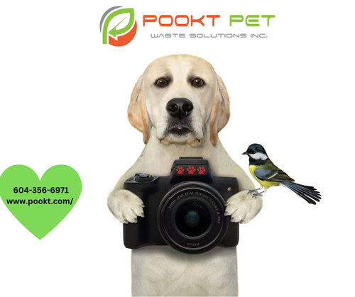 Pet Waste Removal Vancouver Canada.png