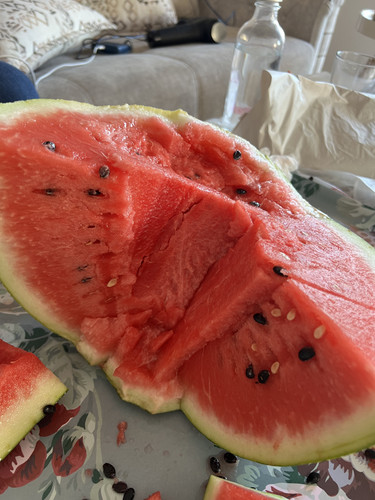 3553E64F 2352 4B05 9169 8C42BB802DD5.jpg