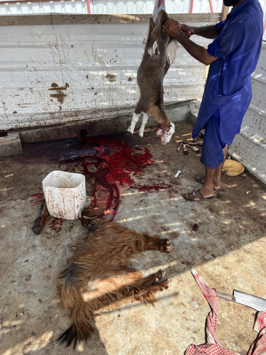 ACA99B61 49FA 4957 8CEA 941F9C2D79F0.jpg