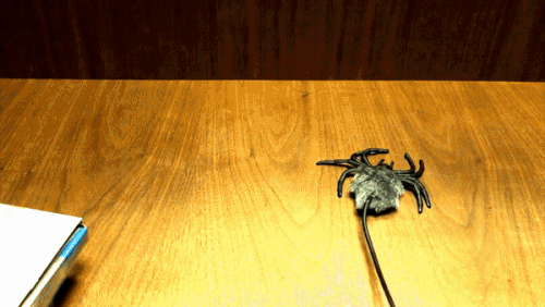 ezgif 4 3c5cc5f6d8.gif