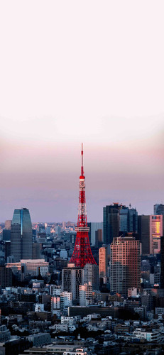 84452971 7832 4077 AF37 1C166FD5E608.jpg