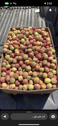 2368CDFA EBB9 4582 95E8 8AB17C1AEEDE.jpg