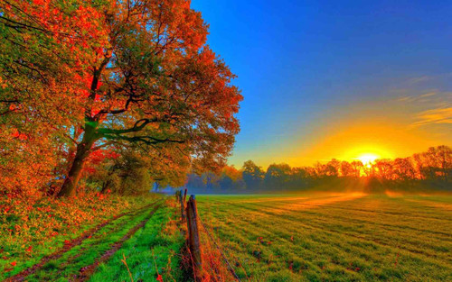 3D0A8BF5 E498 4913 A699 42719FE709EB.jpg