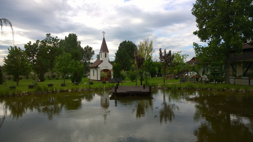 WP 20200622 17 57 00 Pro 083642.jpg