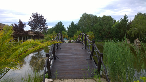 WP 20200622 17 55 37 Pro 083604.jpg