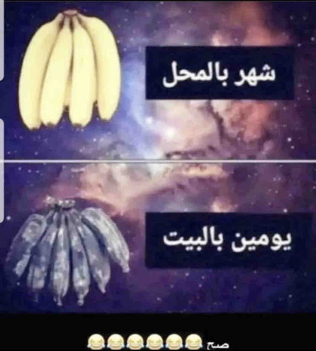 73E078A1 5958 474E 9B11 5A8D47495AAB.jpg