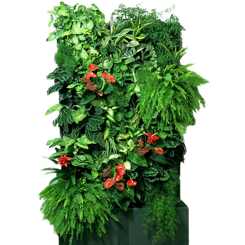 My project (1).png