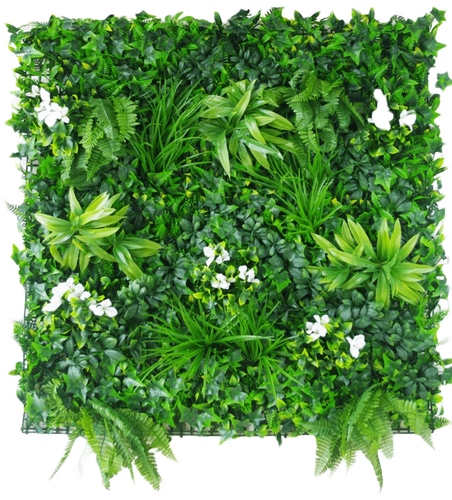 My project (2).png