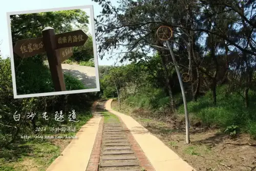 20140412 310 1.webp