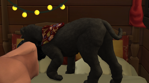 22 10 19 2 33 50.png