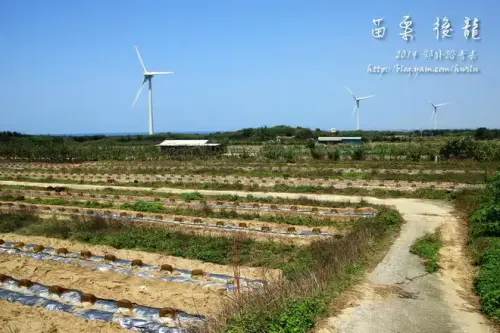 20140412 576.webp