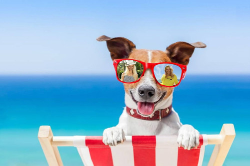 pixiz 11 08 2019 23 22 25.jpg